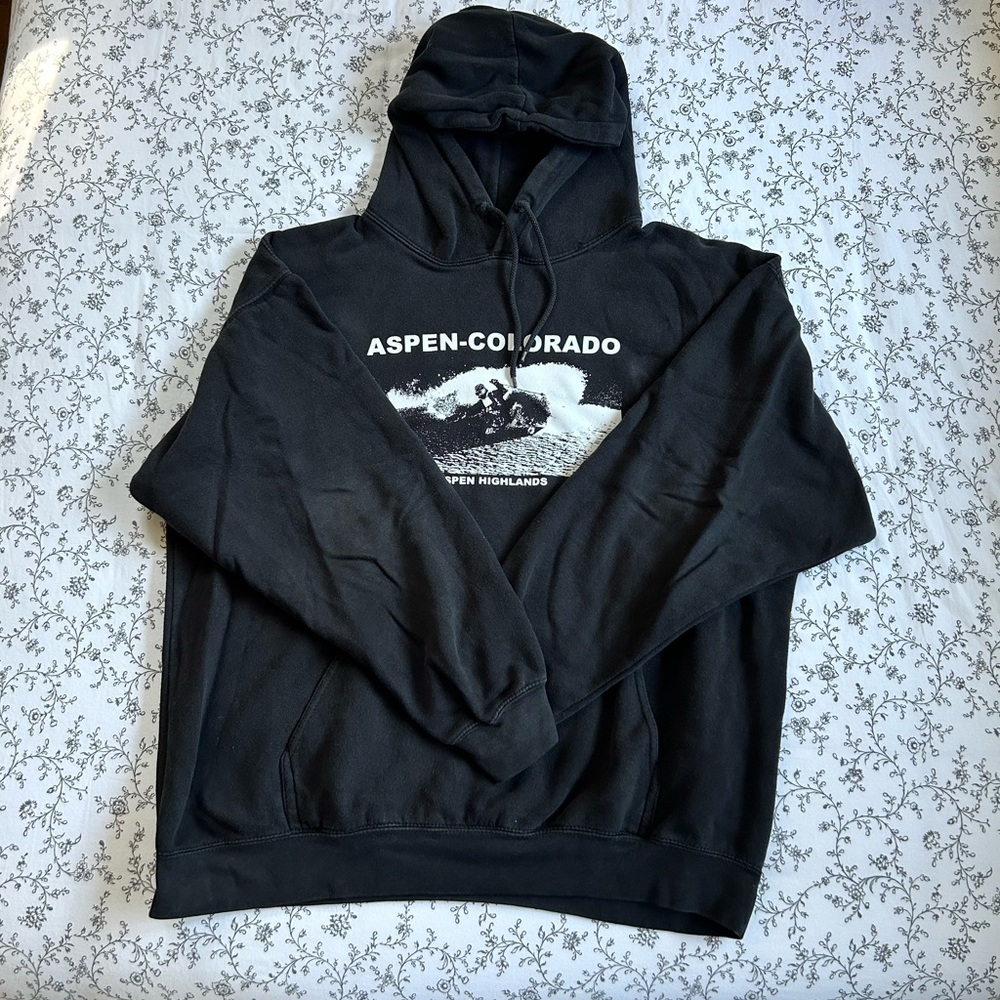 Brandy Melville Aspen Oversized Hoodie